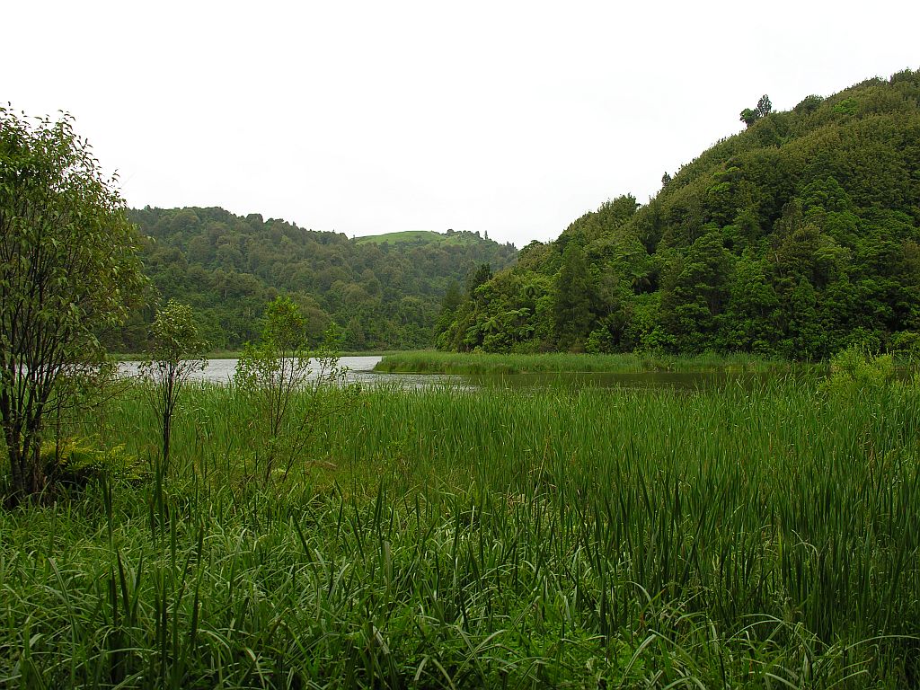 Wilderness International