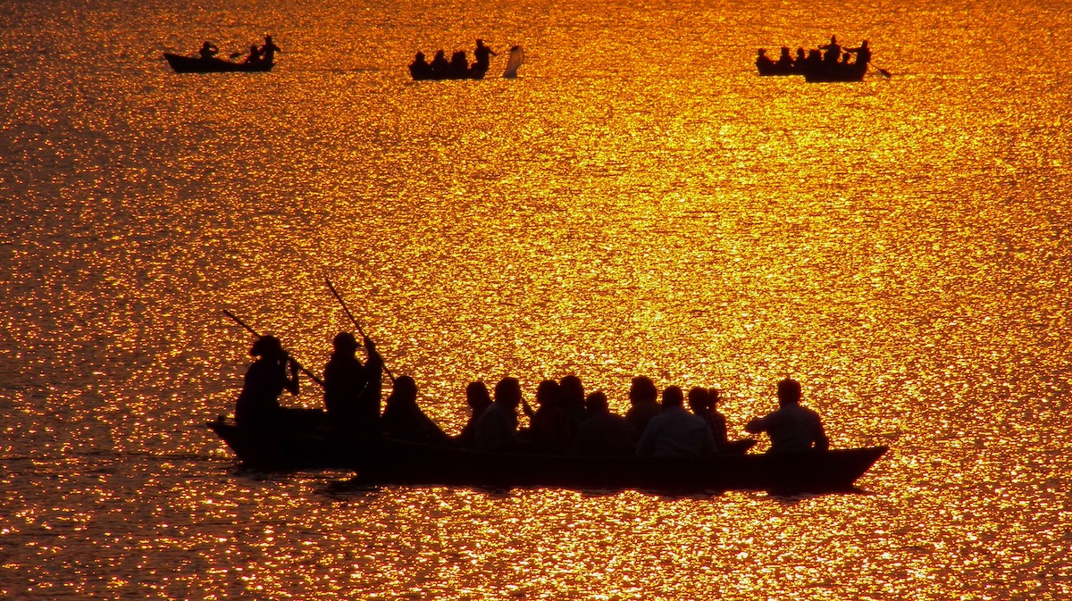 Wilderness International