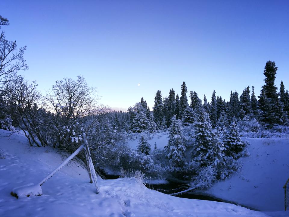 Wilderness International