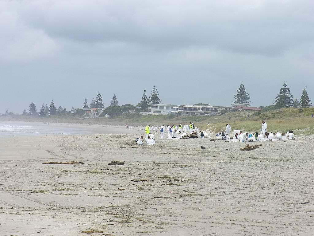 Wilderness International