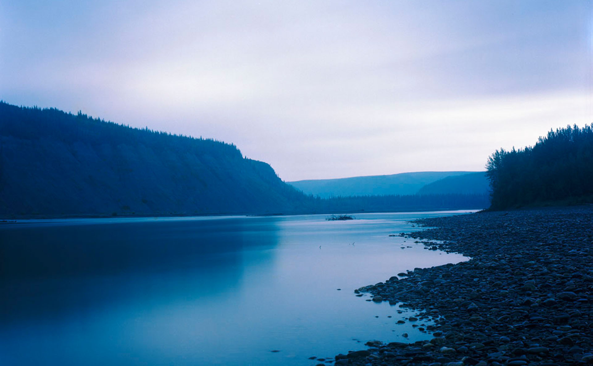 Wilderness International