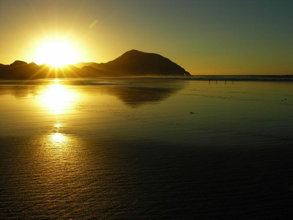 Wilderness International