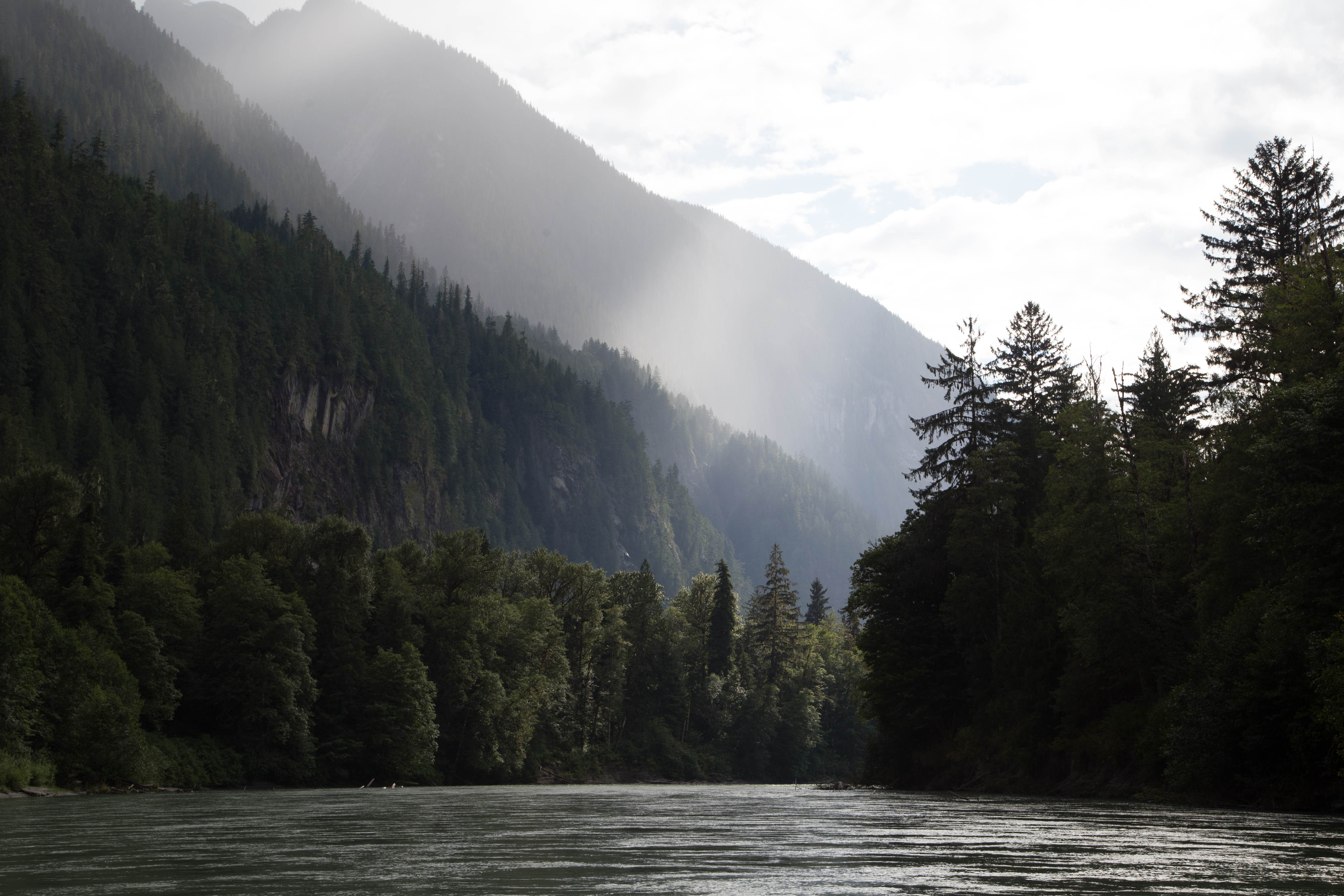 Wilderness International