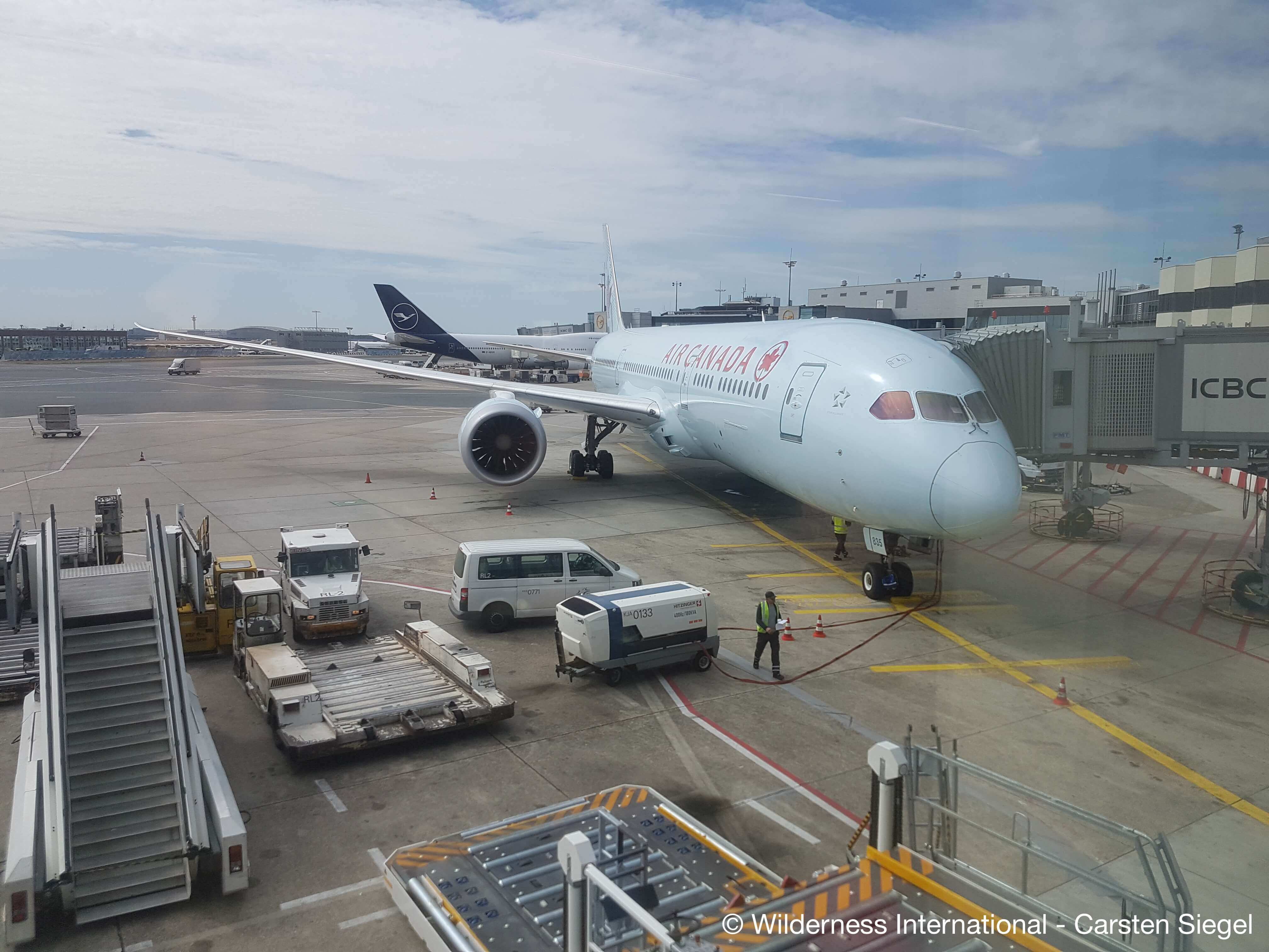 Wilderness International