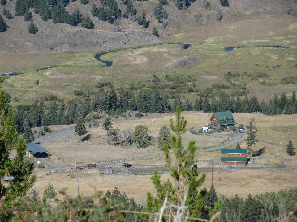 Wilderness International