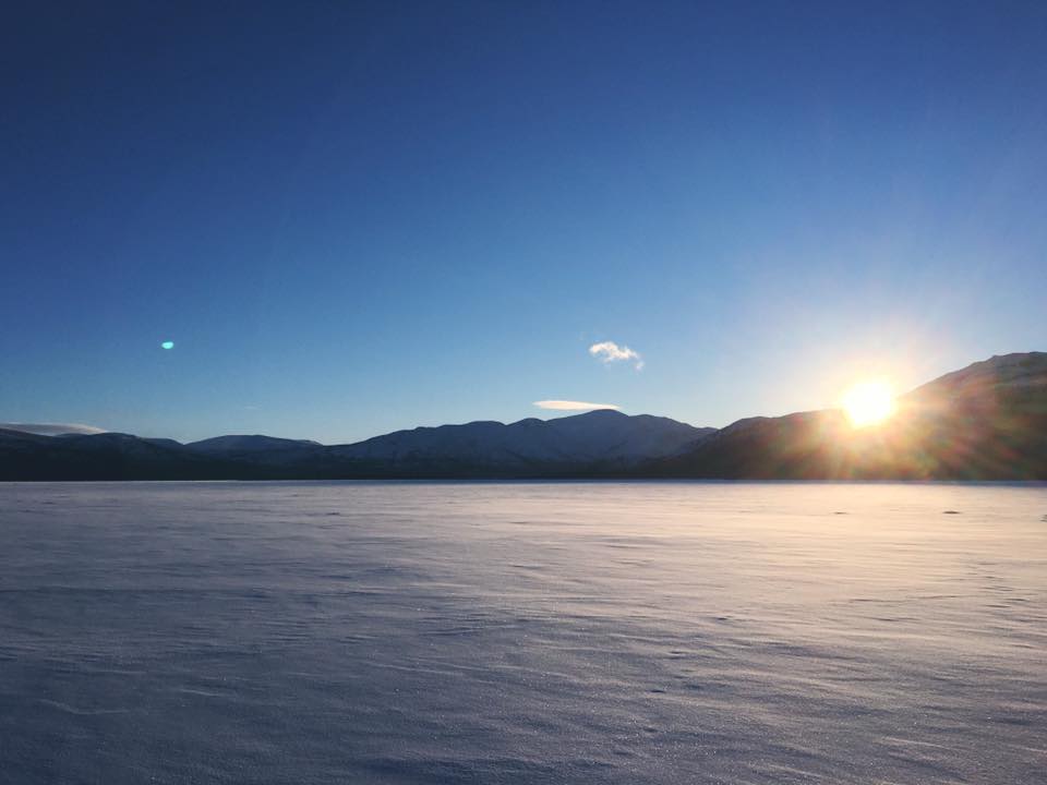 Wilderness International