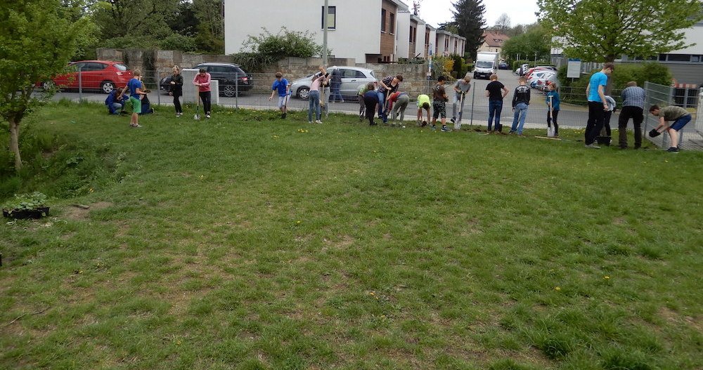 Wilderness International