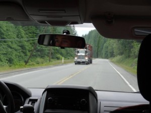 Wilderness International