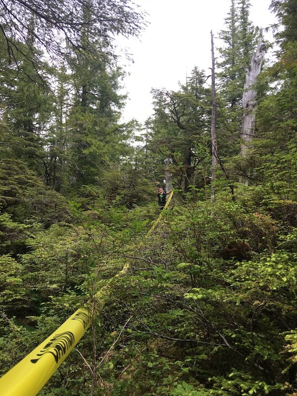 Wilderness International