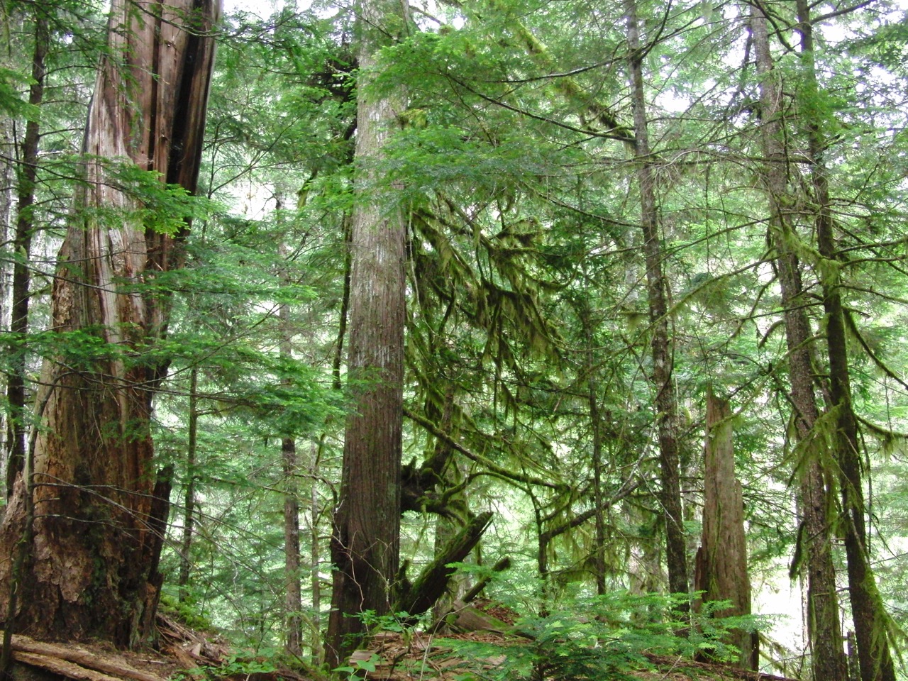 Wilderness International