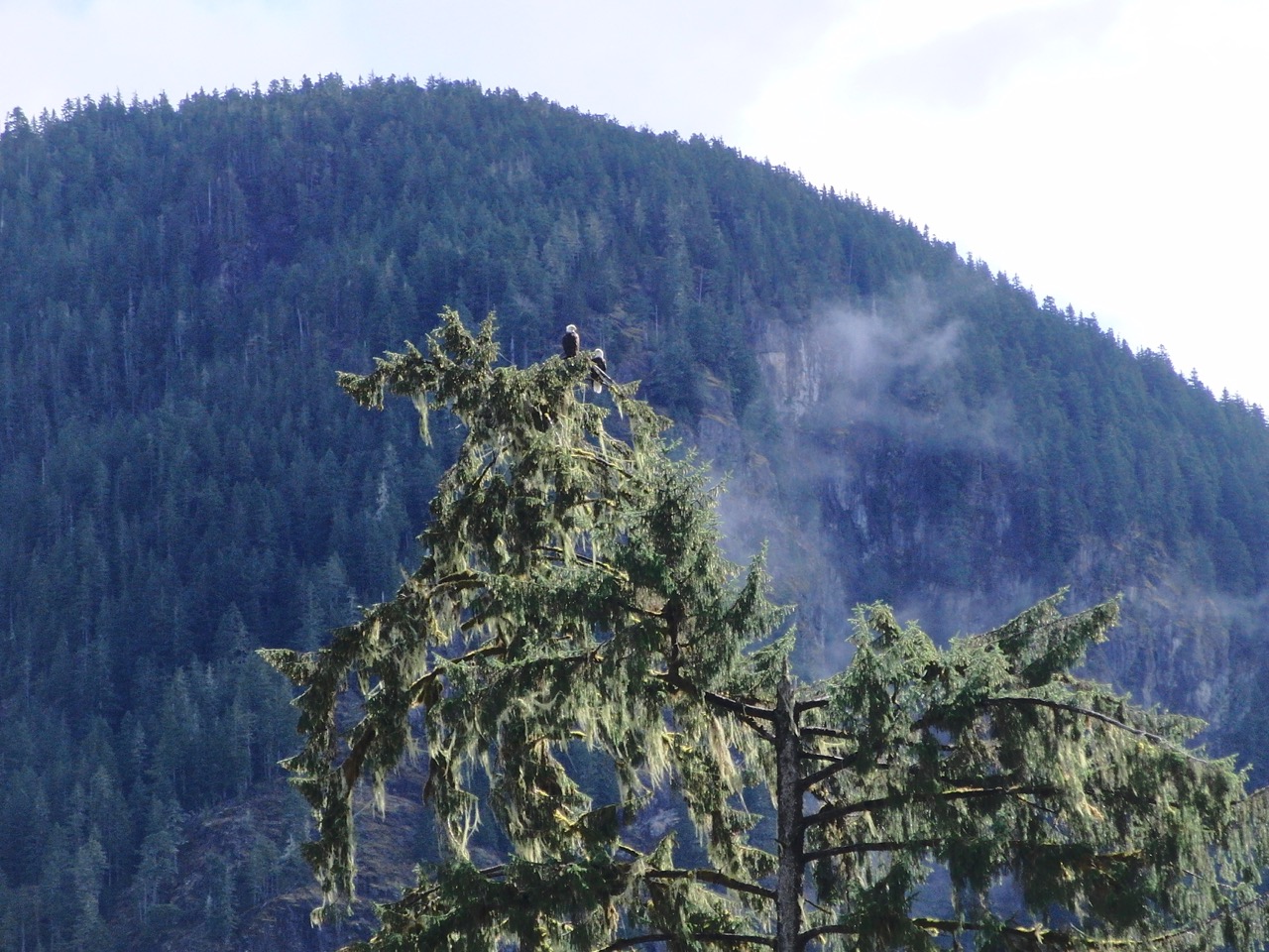 Wilderness International