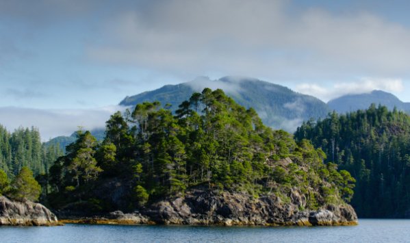 Wilderness International