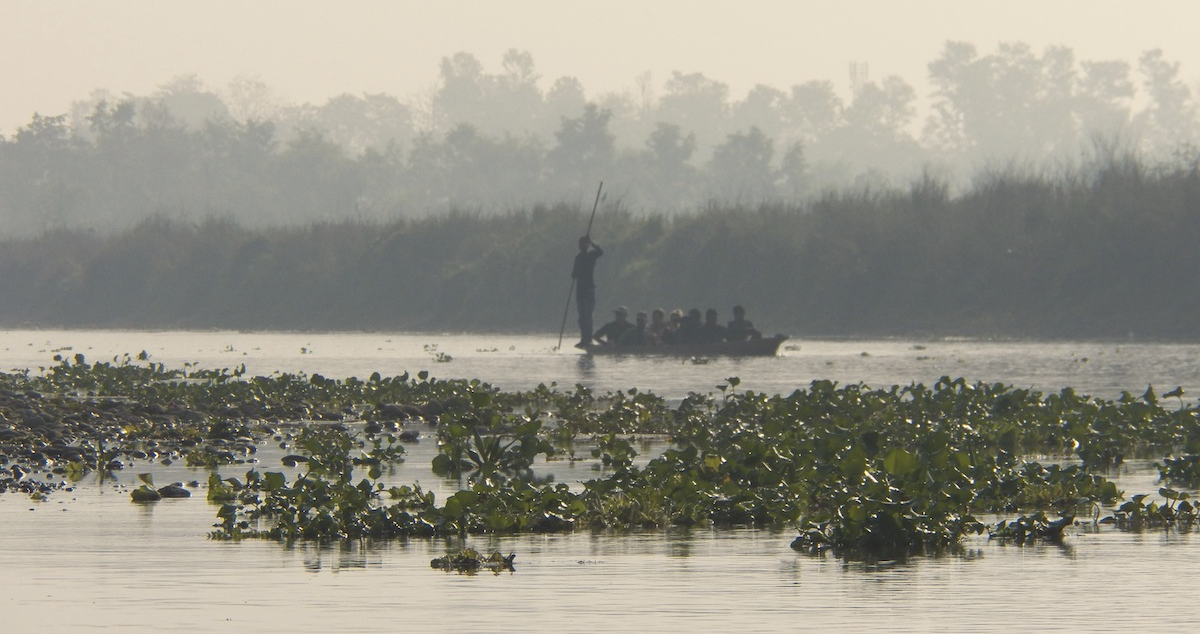 Wilderness International