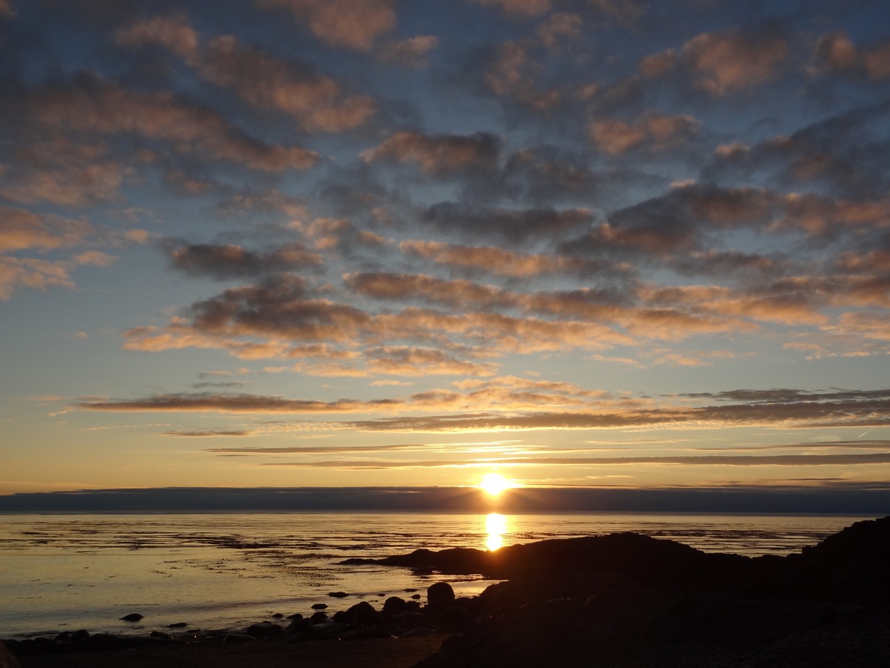 Wilderness International