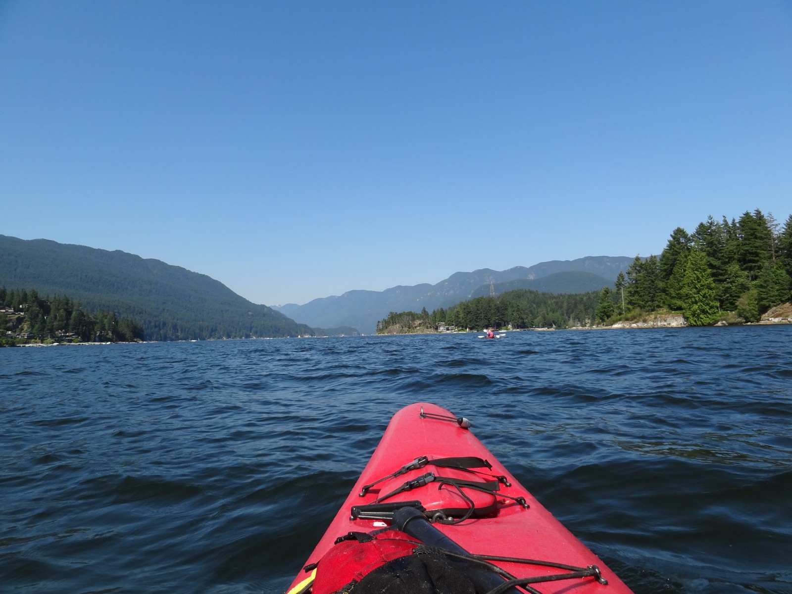 Wilderness International