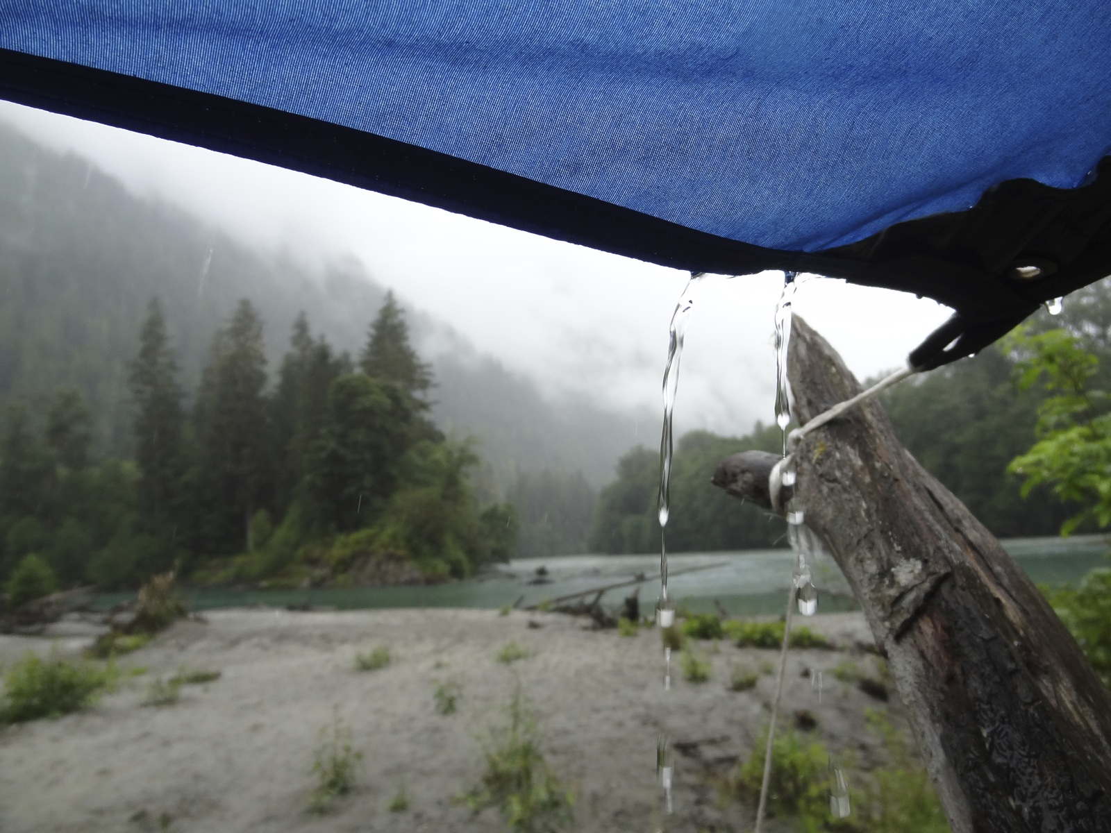 Wilderness International