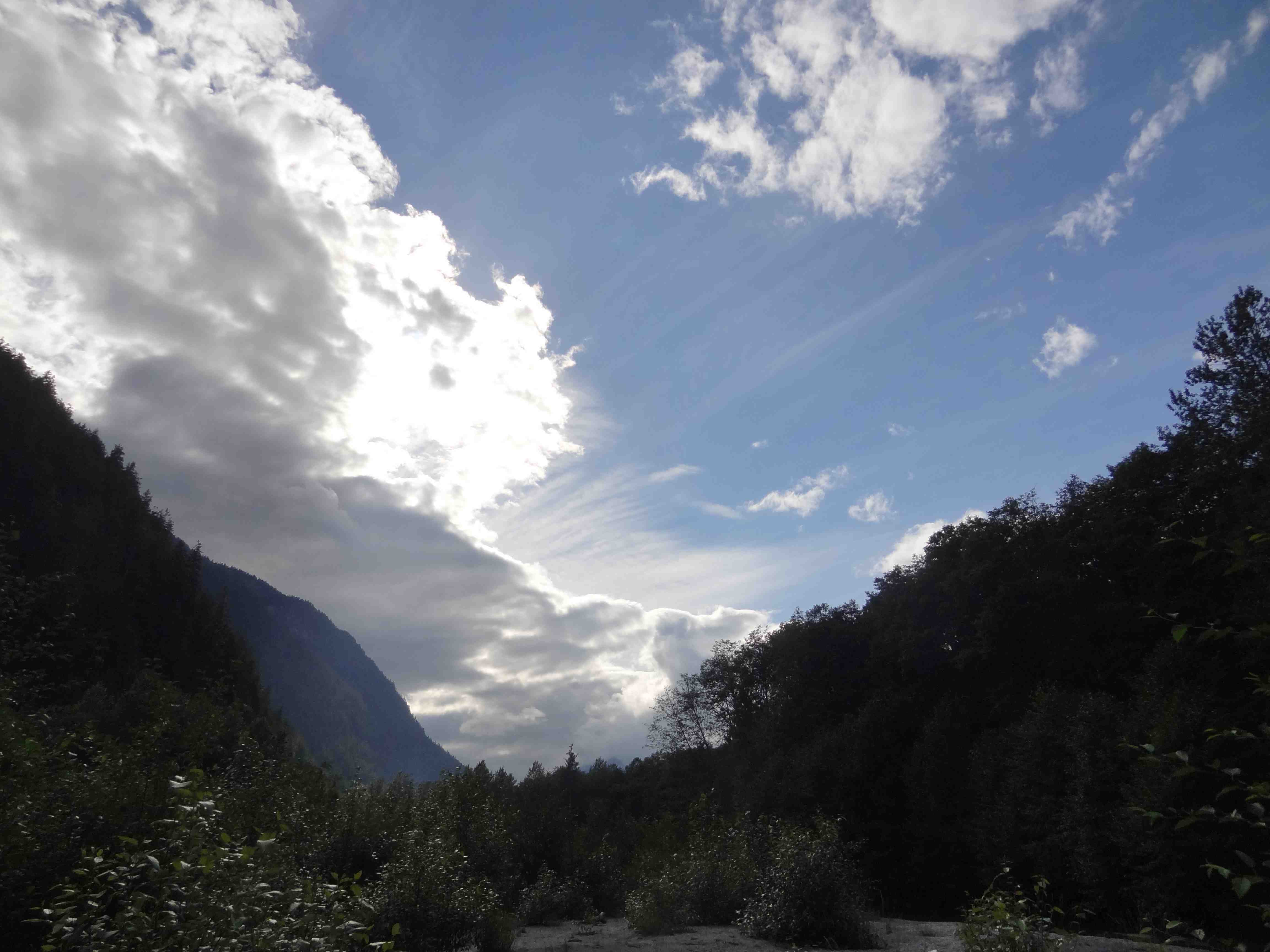 Wilderness International