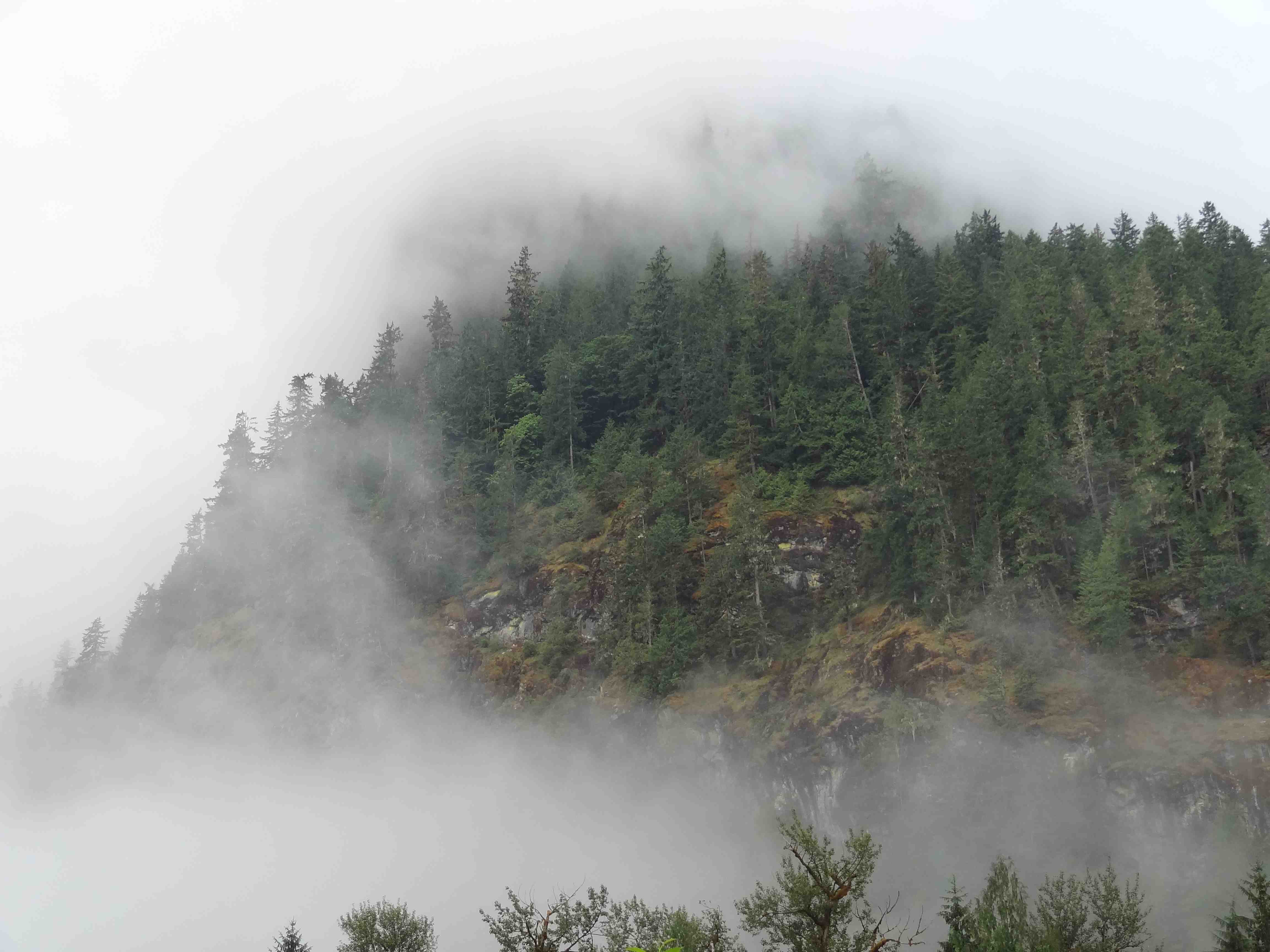 Wilderness International