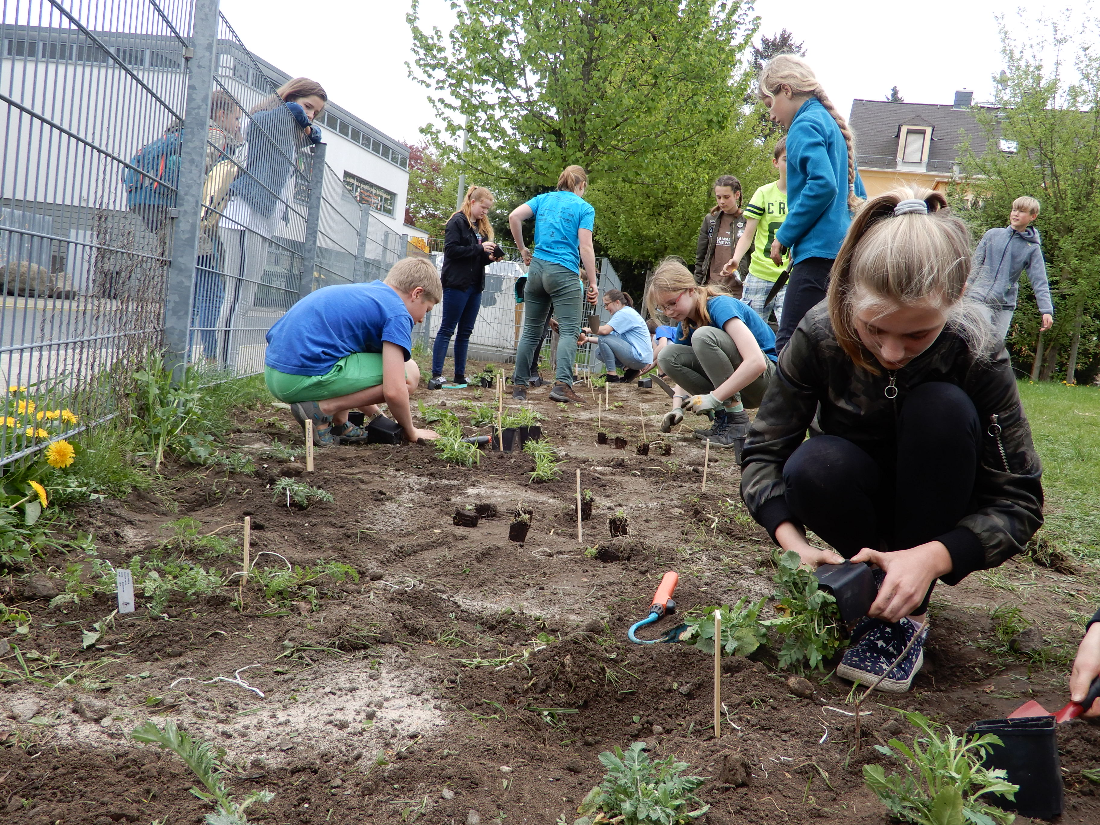 Wilderness International