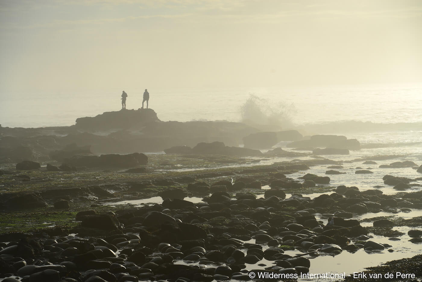 Wilderness International