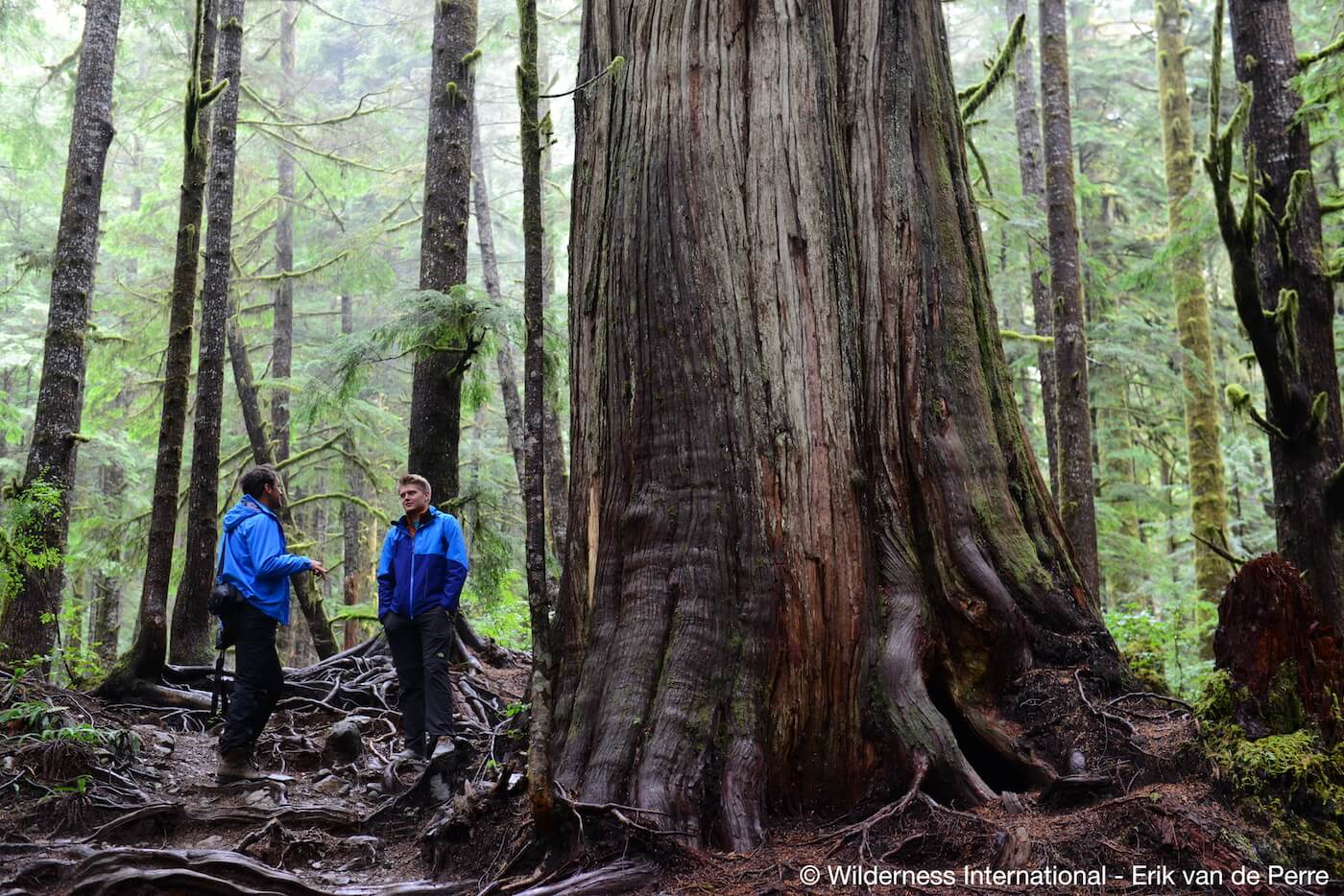 Wilderness International