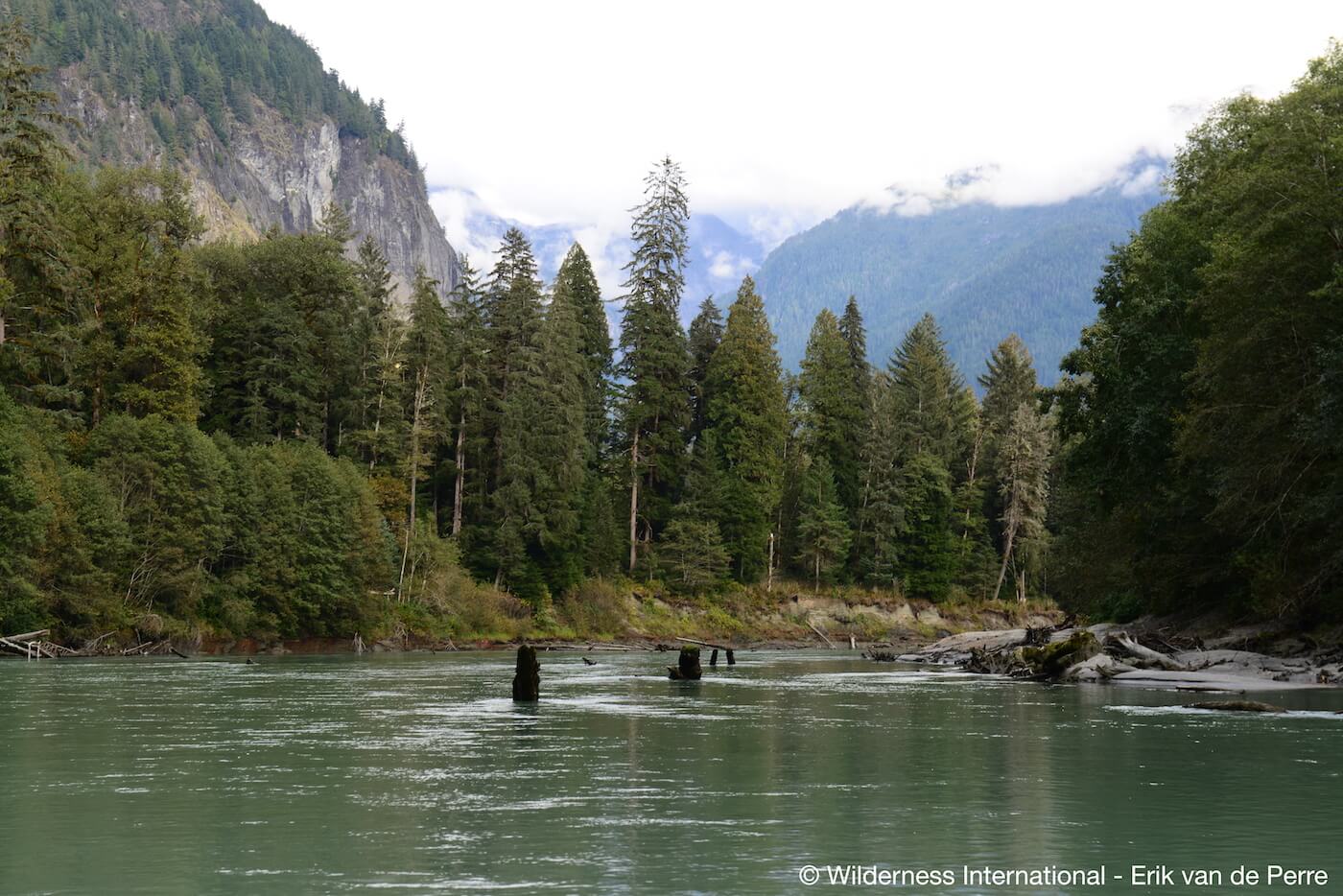 Wilderness International