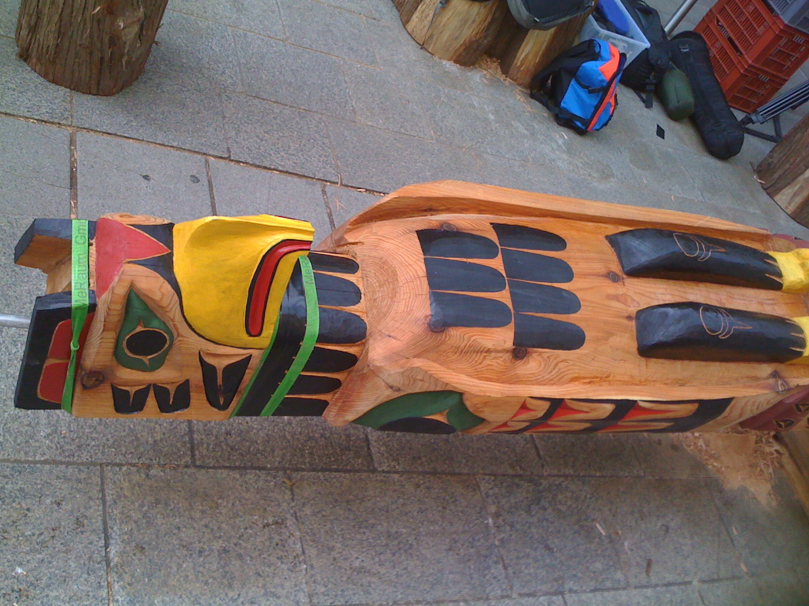 Wilderness International