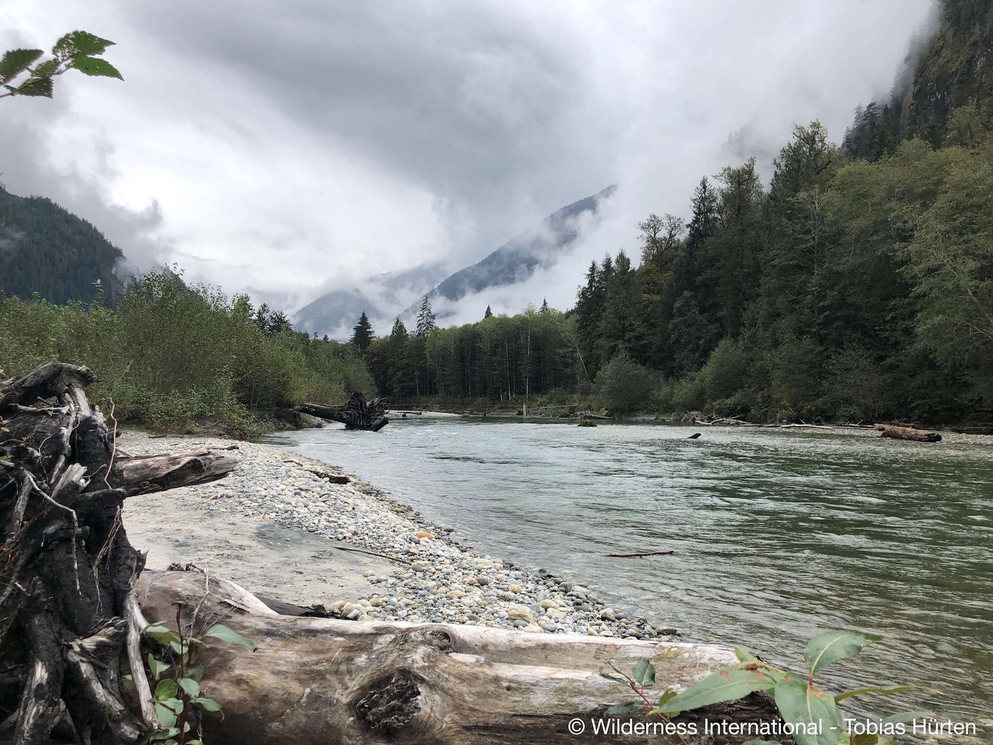 Wilderness International