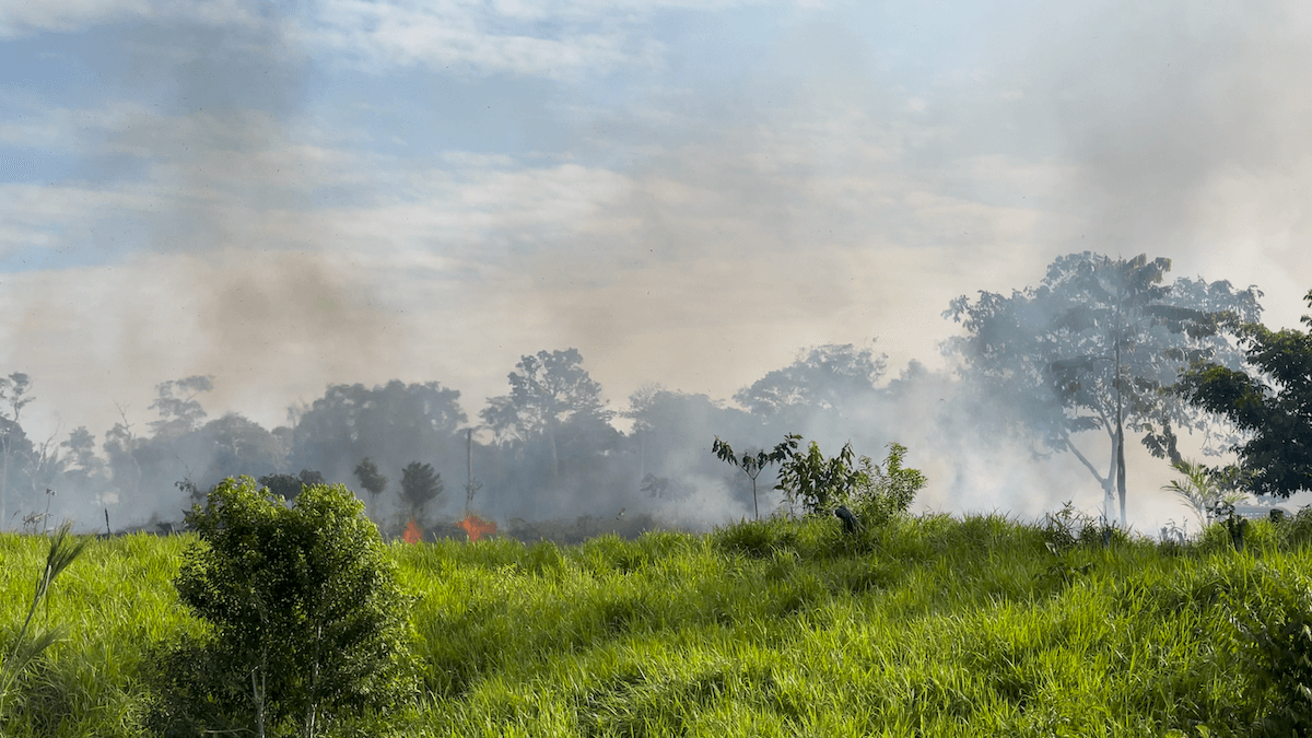 Wilderness International