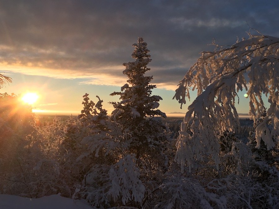 Wilderness International