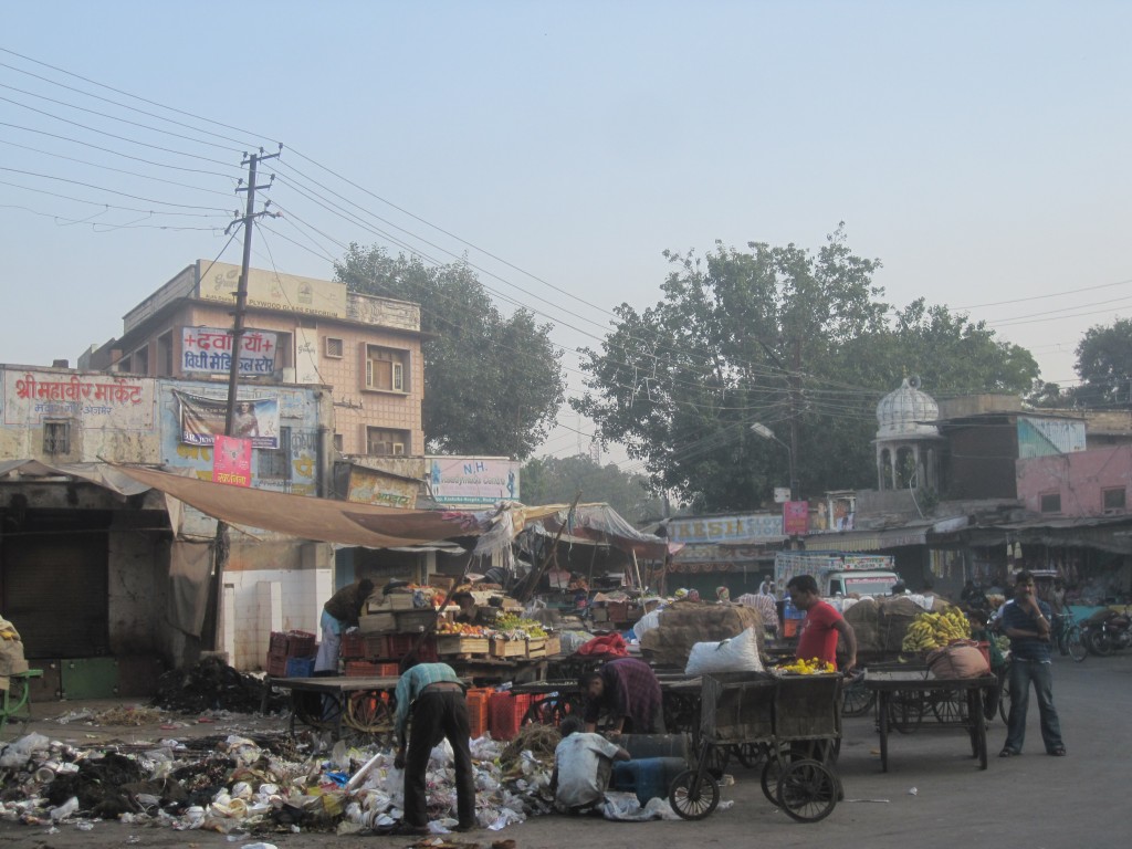 Wilderness International