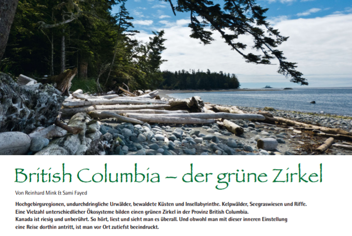 Wilderness International