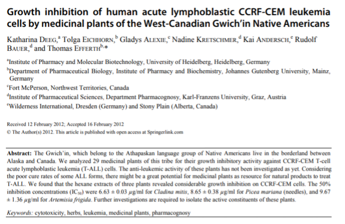 Wilderness International