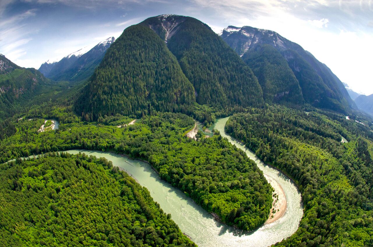 Wilderness International