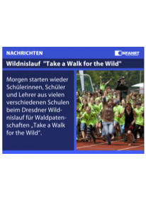 Wilderness International