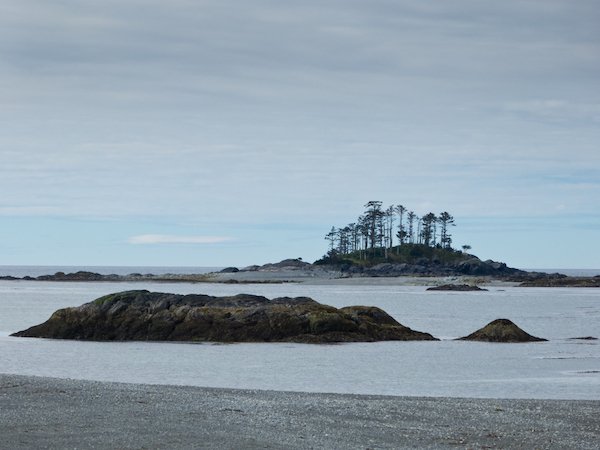 Wilderness International