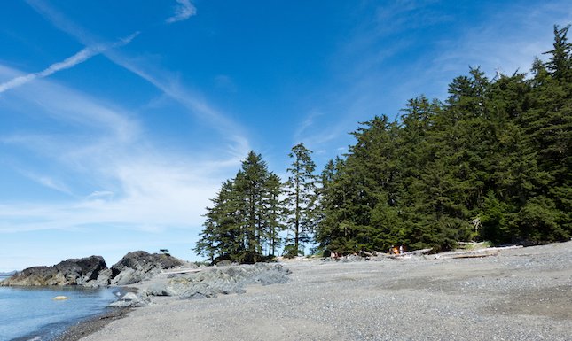 Wilderness International