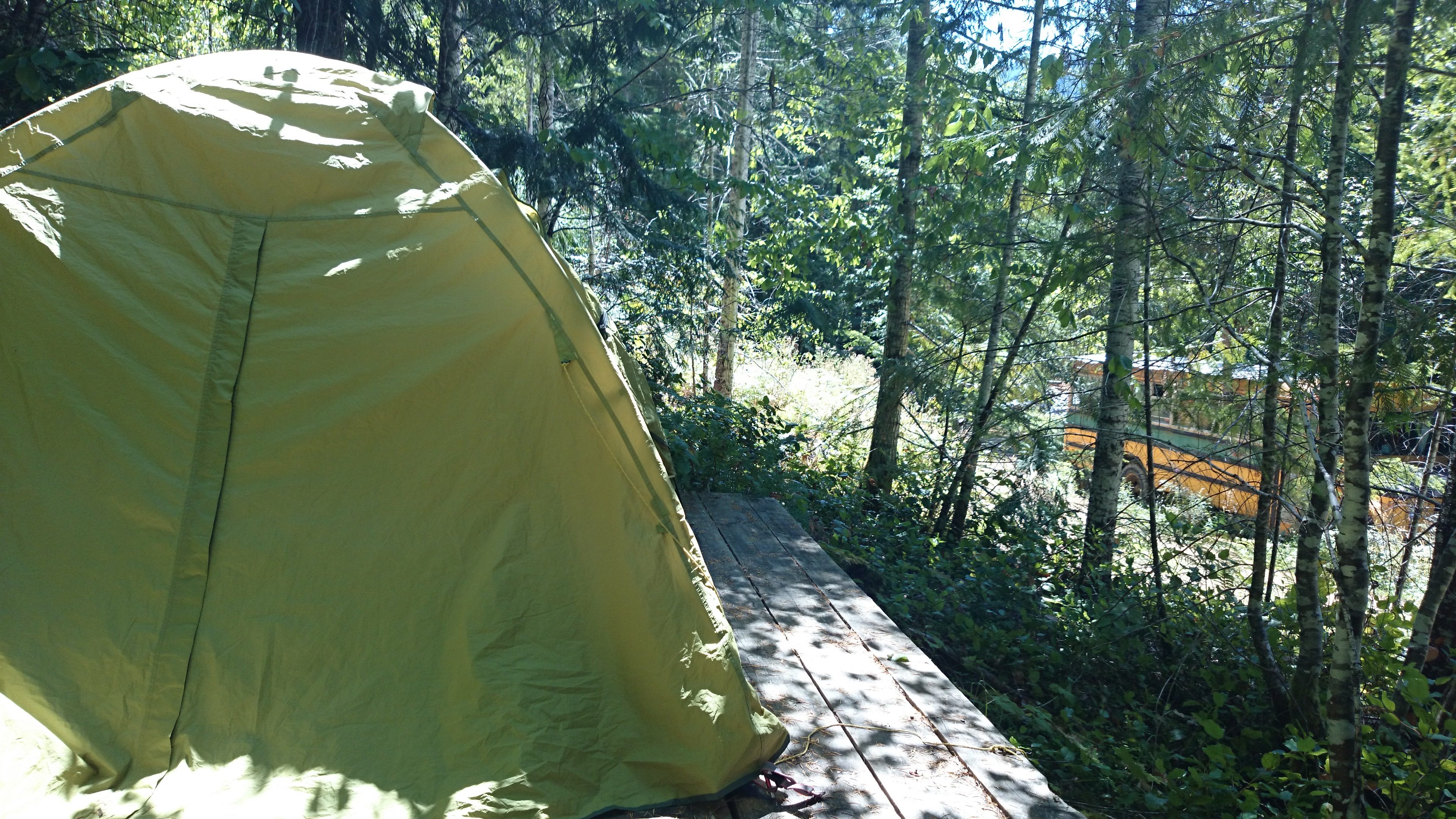 Wilderness International