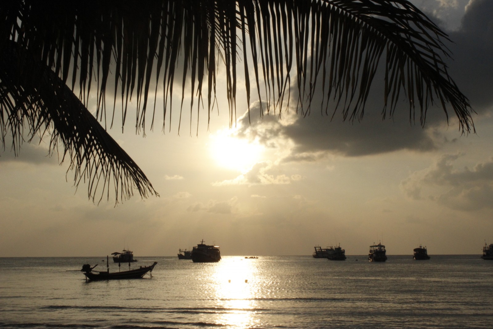 Wilderness International