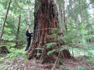 Wilderness International