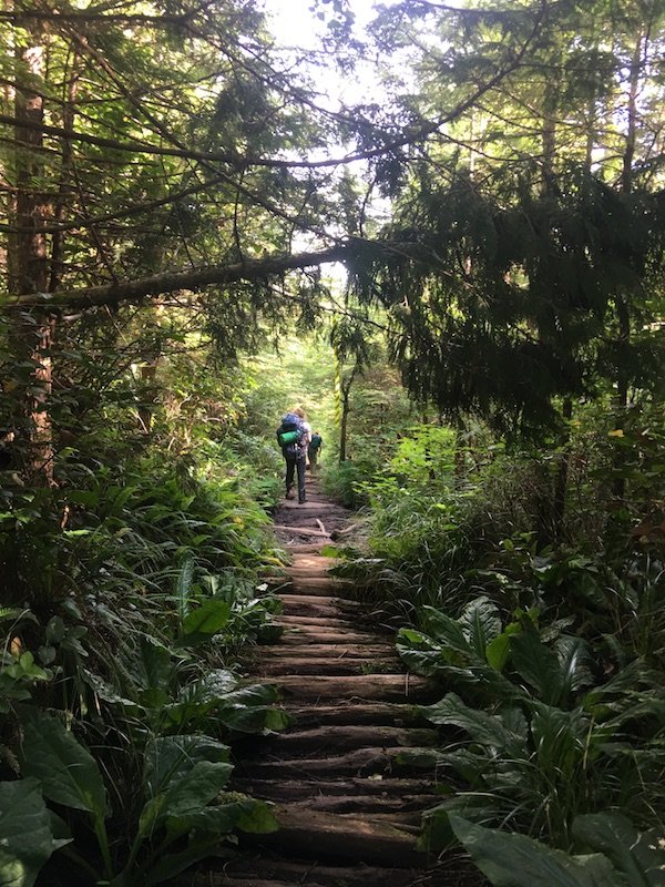 Wilderness International