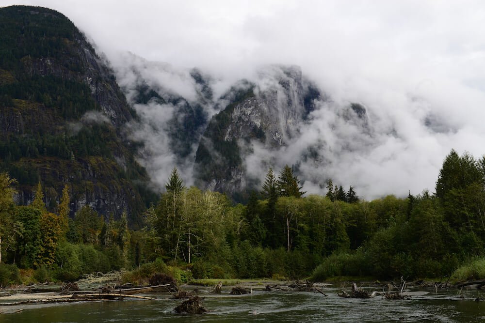 Wilderness International