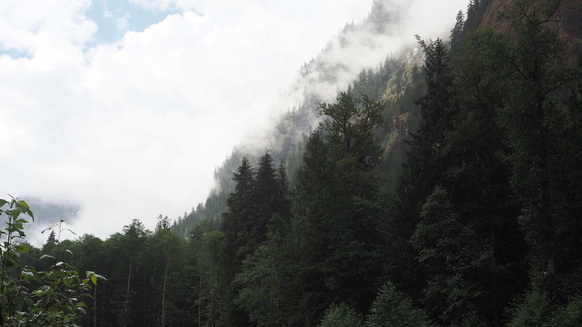 Wilderness International