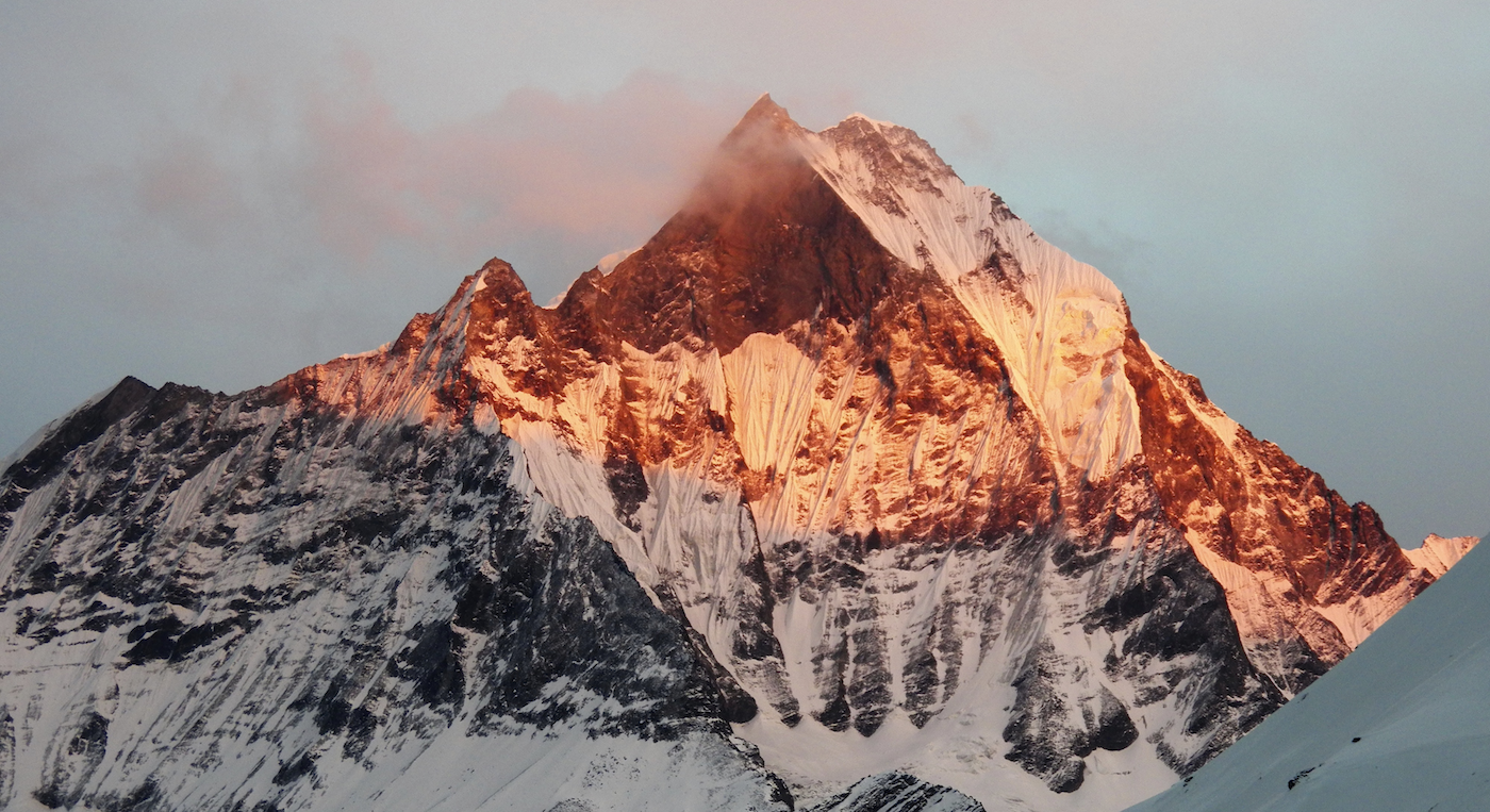 Wilderness International