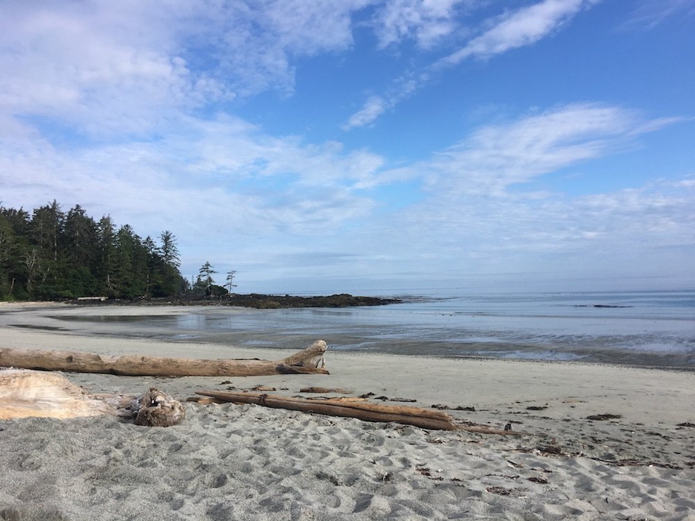 Wilderness International