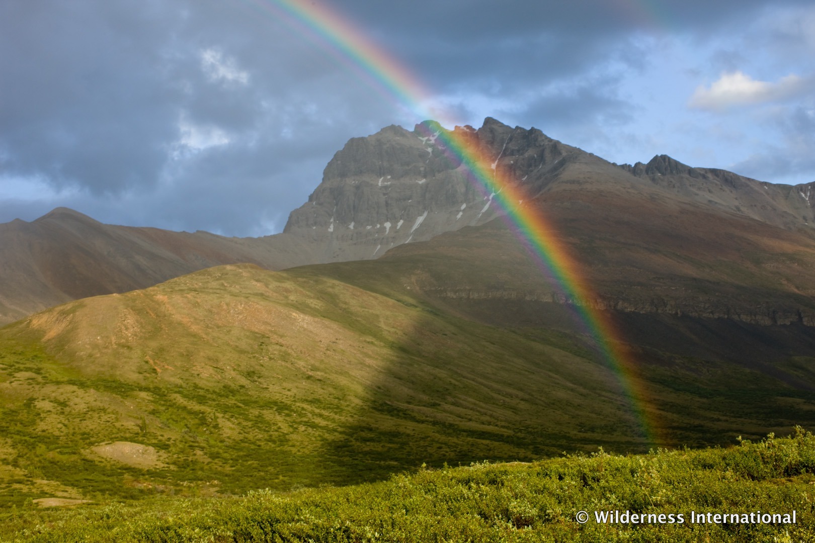 Wilderness International