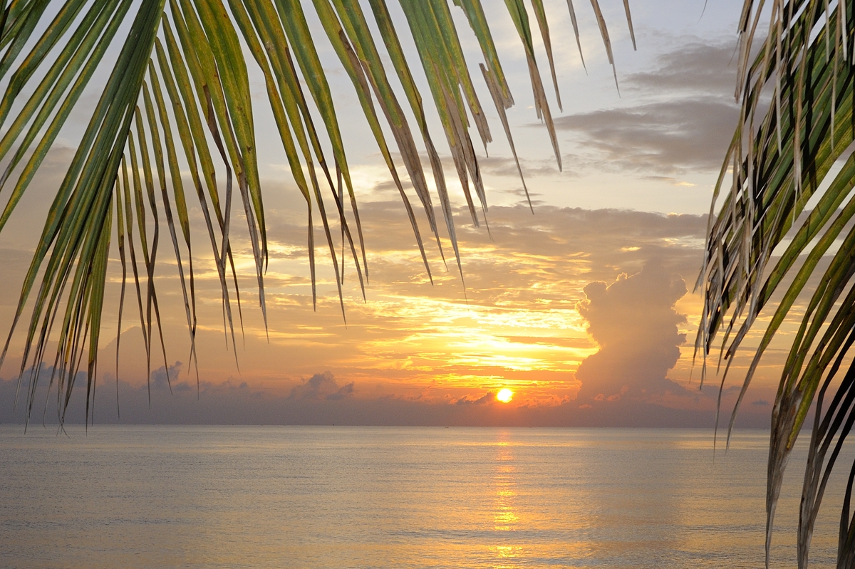 Wilderness International