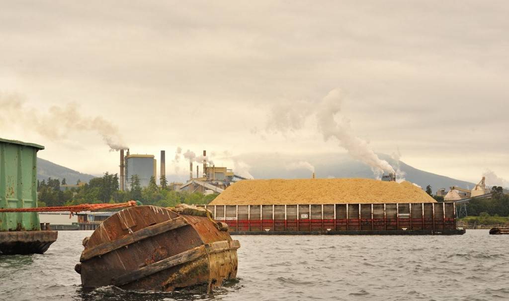 Wilderness International