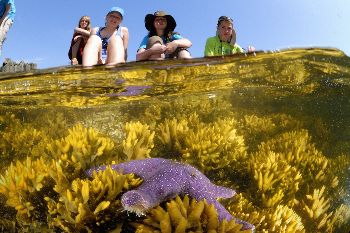 Wilderness International