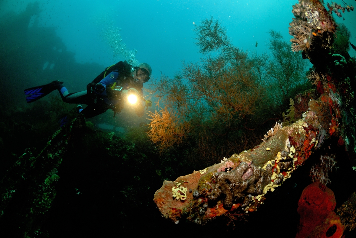 Wilderness International